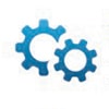 Mechanical/Physical Action